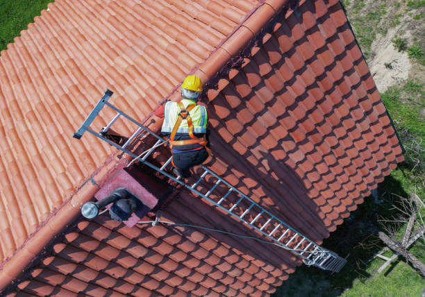 Best Roof Maintenance and Cleaning  in USA